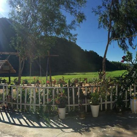 Phong Nha Rice Field Homestay ภายนอก รูปภาพ