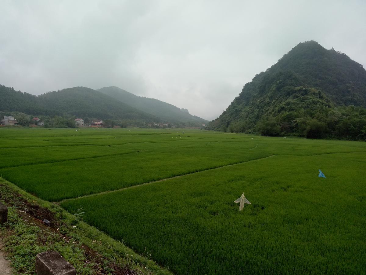 Phong Nha Rice Field Homestay ภายนอก รูปภาพ