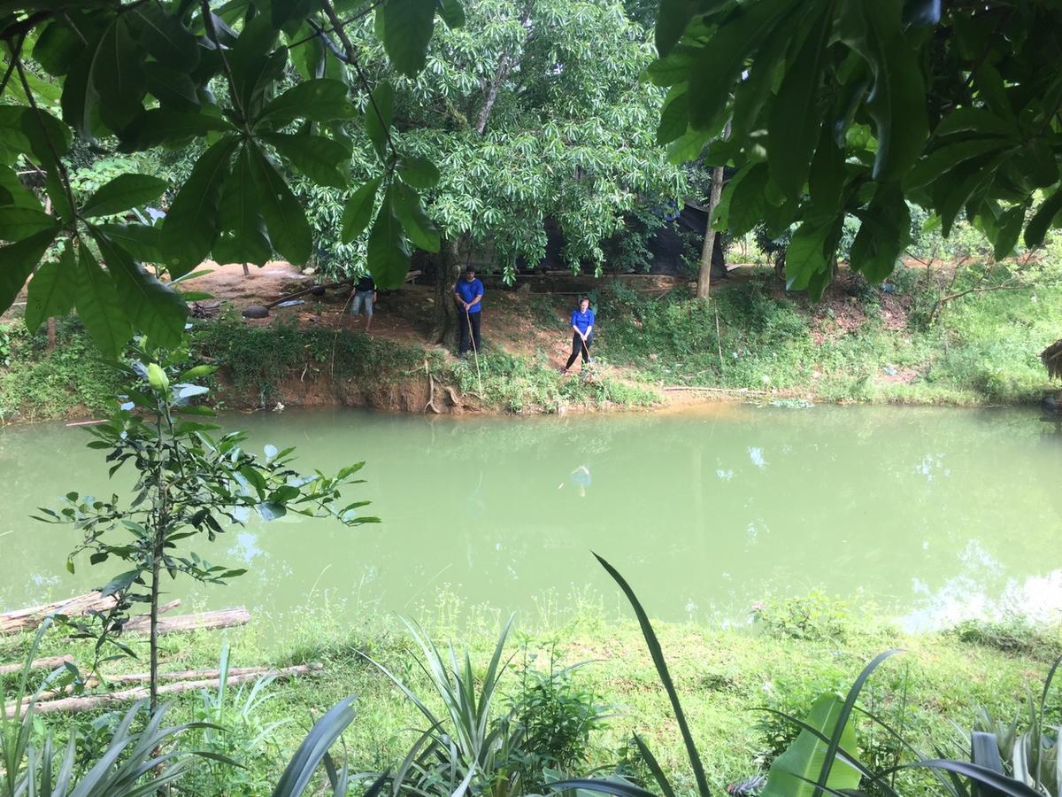 Phong Nha Rice Field Homestay ภายนอก รูปภาพ