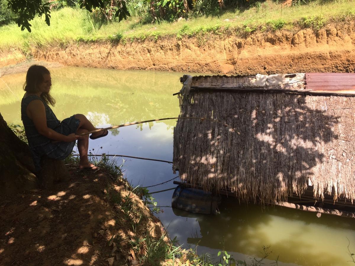 Phong Nha Rice Field Homestay ภายนอก รูปภาพ