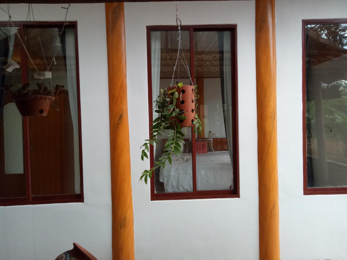 Phong Nha Rice Field Homestay ภายนอก รูปภาพ