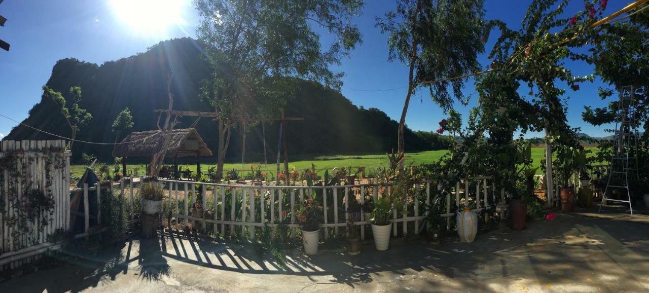 Phong Nha Rice Field Homestay ภายนอก รูปภาพ